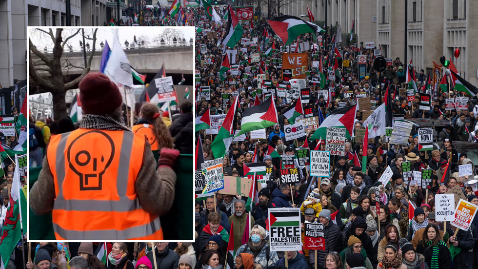 Just Stop Oil protester/London pro-Palestine march