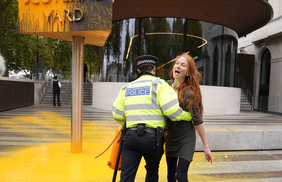 Just Stop Oil protester