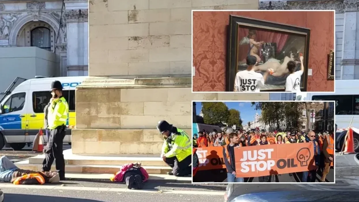 Now Just Stop Oil protest near Cenotaph and use HAMMERS to smash up National Gallery painting in outrage at Sunak's oil pledge