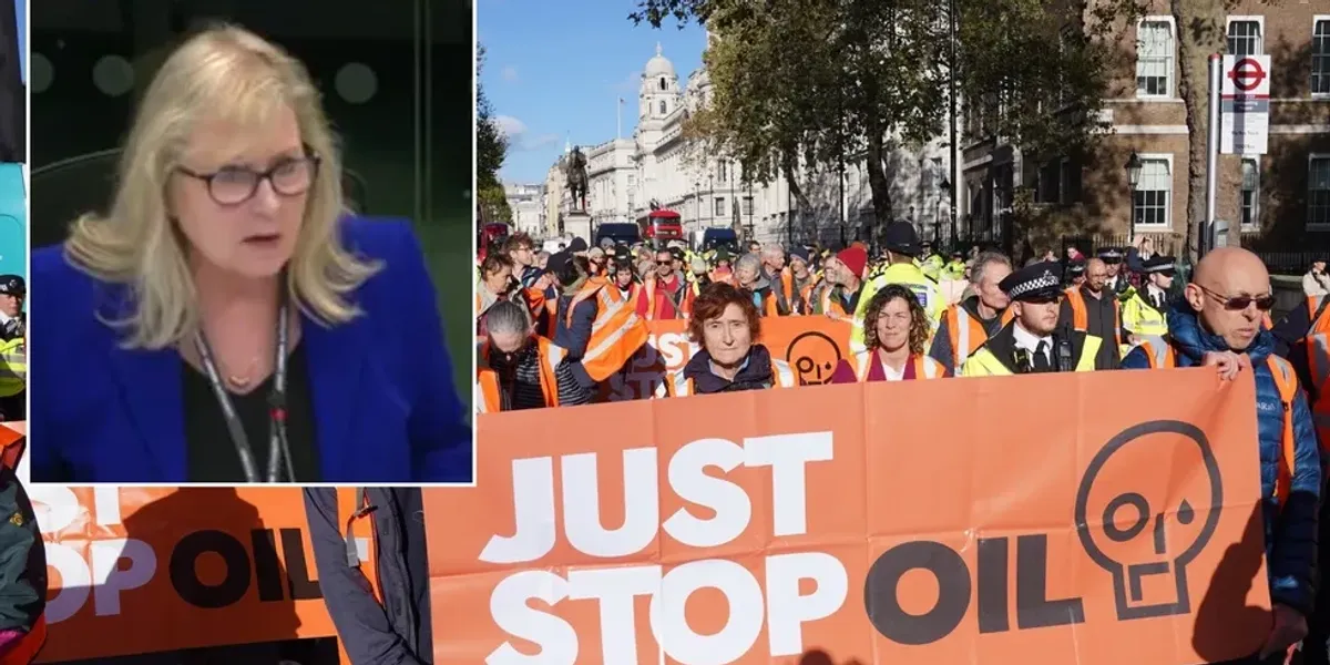 NextImg:'Sick to death of the antics!' Susan Hall tears into Just Stop Oil 'nonsense' in furious rant