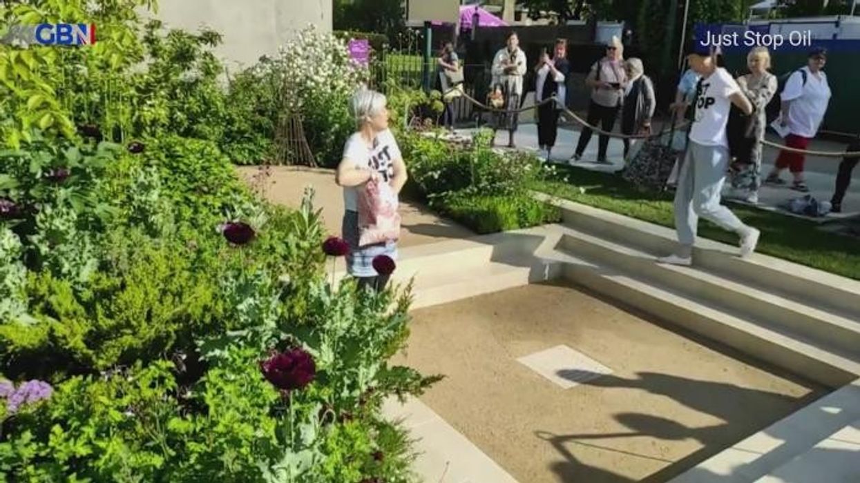 'I've discovered a way to keep orchids alive for at least 20 years - it all boils down to how you pot them'