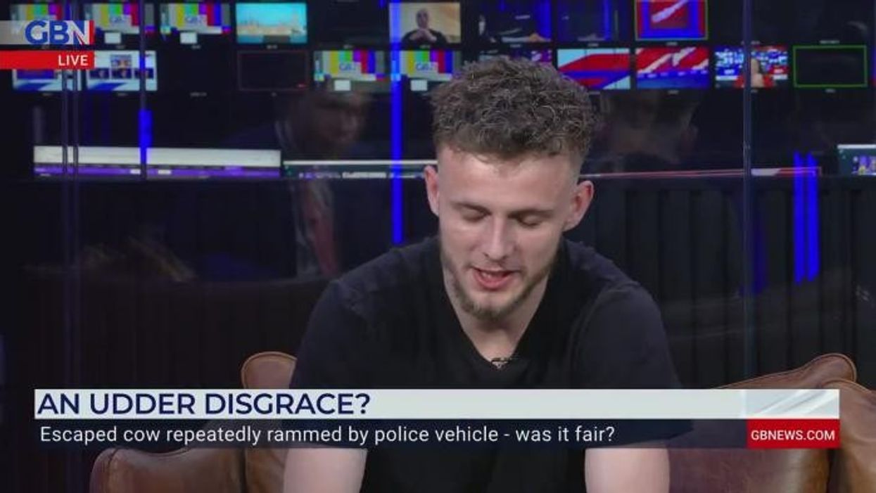 Eyewitness describes harrowing moment police struck cow: ‘I told them they’ll have to go through me first!’