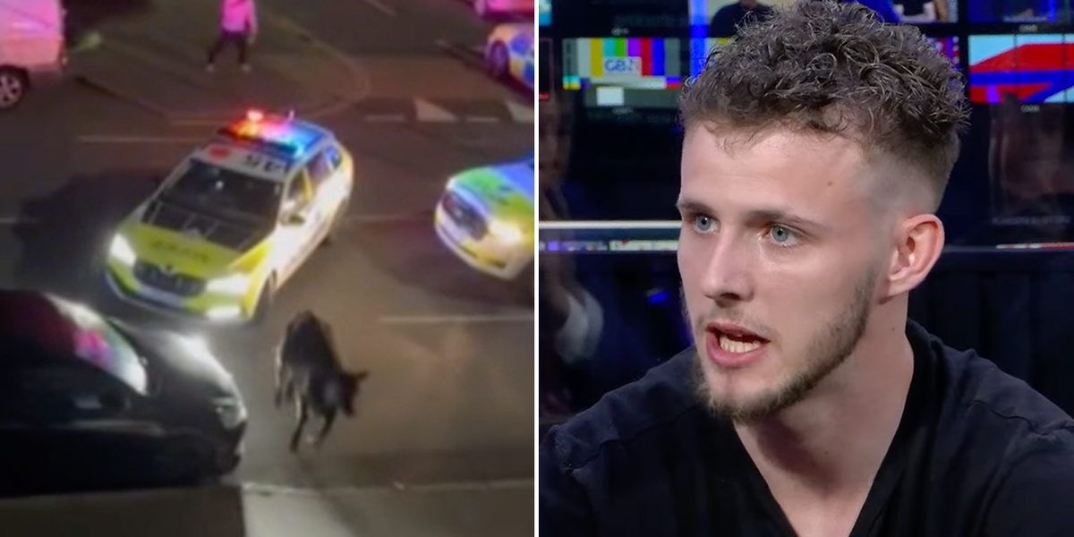 NextImg:Eyewitness describes moment police struck cow: ‘I told them they’ll have to go through me first!’
