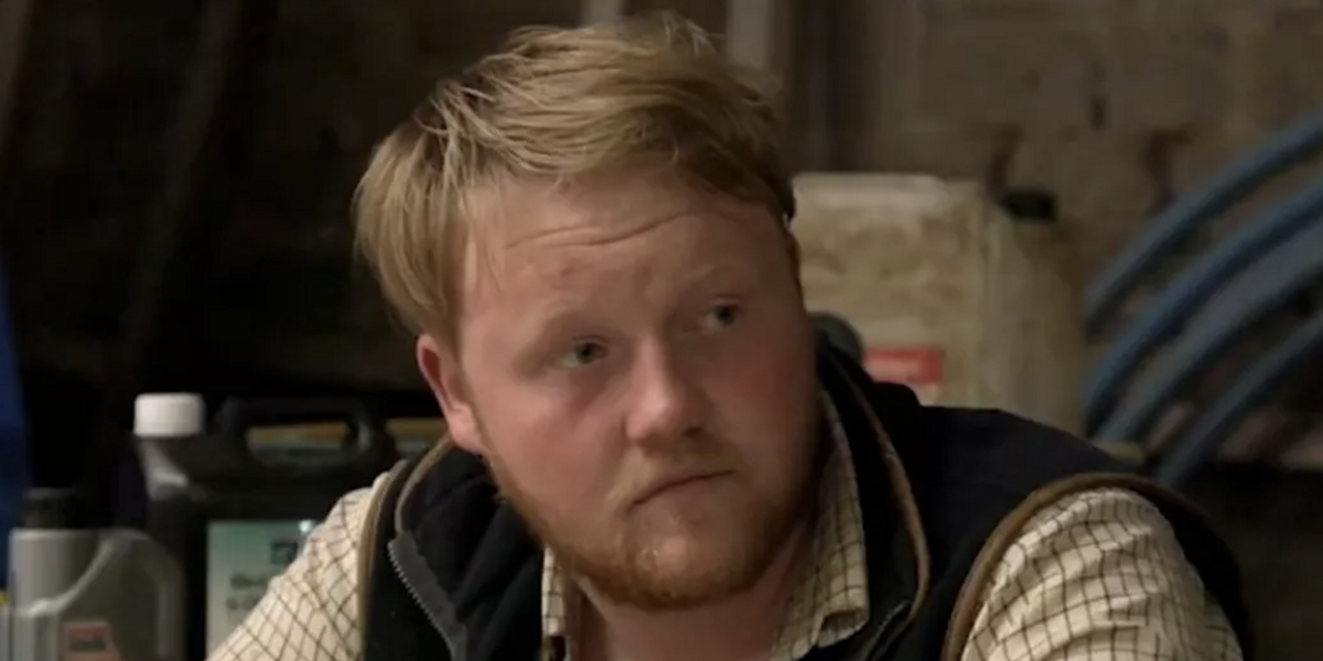 NextImg:Kaleb Cooper shares worrying snap from Diddly Squat amid Jeremy Clarkson's concerning crop update
