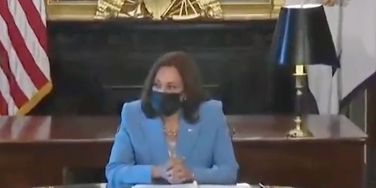 NextImg:WATCH: Kamala Harris introduces pronouns and says she is 'a woman in a blue suit'