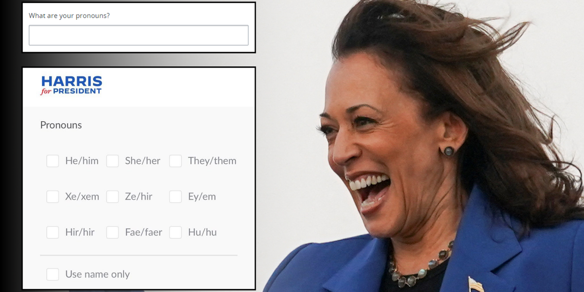 NextImg:Kamala Harris slammed for offering NINE different pronoun options on campaign job form