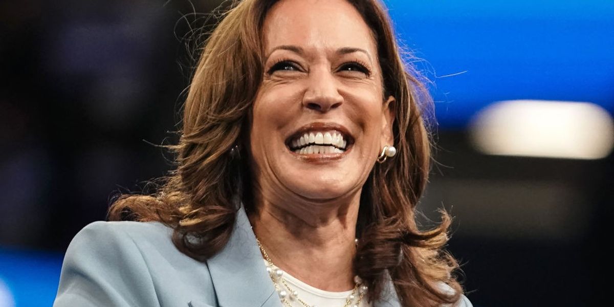 NextImg:Kamala Harris confirms VP running mate in bid to win key swing state