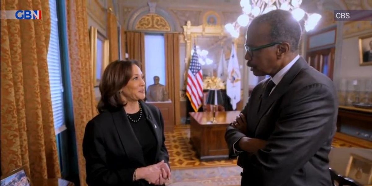 NextImg:WATCH: Kamala Harris says Joe Biden is 'very much alive' in bizarre interview moment