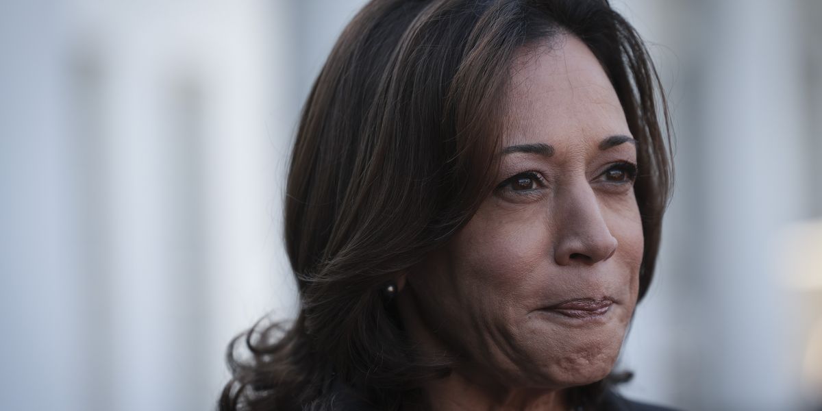 NextImg:Kamala Harris could be 'sidelined' by fellow Dems if Biden exits 2024 presidential race