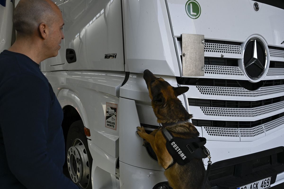 Kapitan Andreevo border sniffer dog