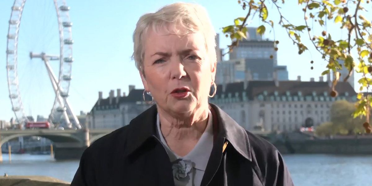 Brexit betrayal: Labour minister denies accusations of rejoining EU in GB News grilling Brexit betrayal: Labour minister denies accusations of rejoining EU in GB News grilling