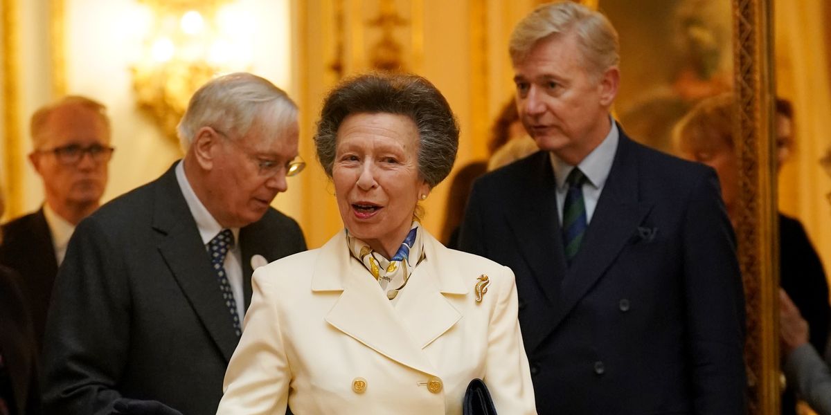 NextImg:Princess Anne lands new role amid royal making her feelings clear on retirement plans