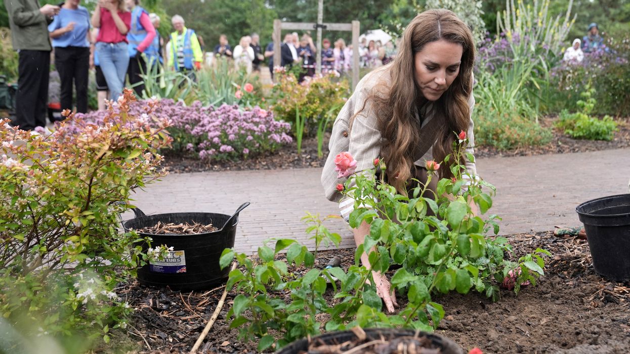 Kate Middleton