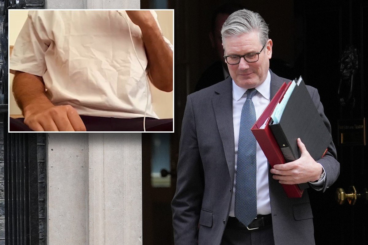 Keir Starmer and Iranian dissident