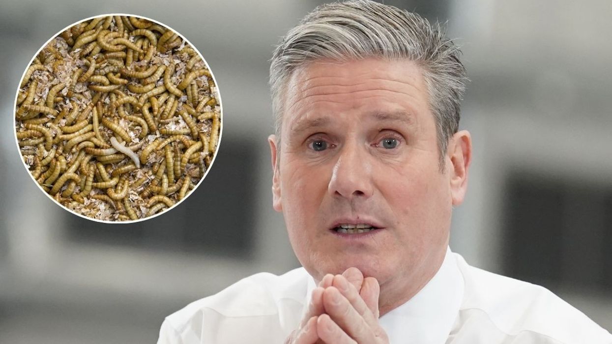 Keir Starmer and mealworms
