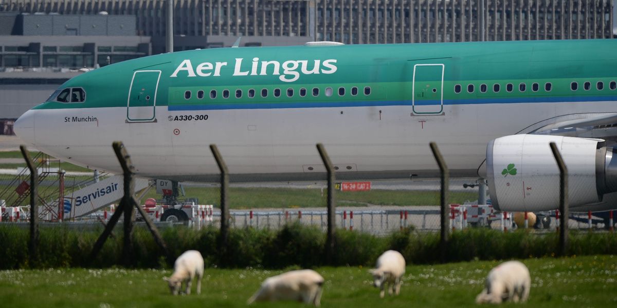 NextImg:Plane crash lands at Belfast City Airport after landing gear collapses