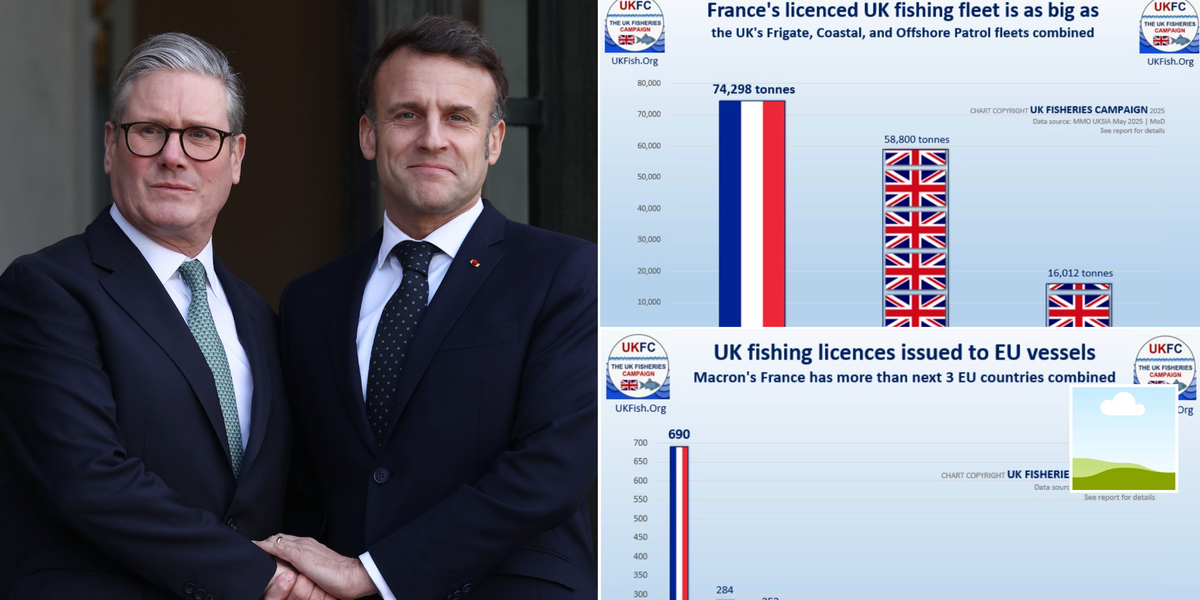NextImg:EXPOSED: Emmanuel Macron's cunning five-day plot to bind Brexit Britain in chains as payback looms
