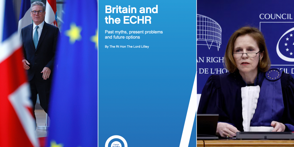 NextImg:EXPOSED: Bombshell report blows the lid on the ECHR's iron-fist rule over Britain as dangerous myths busted