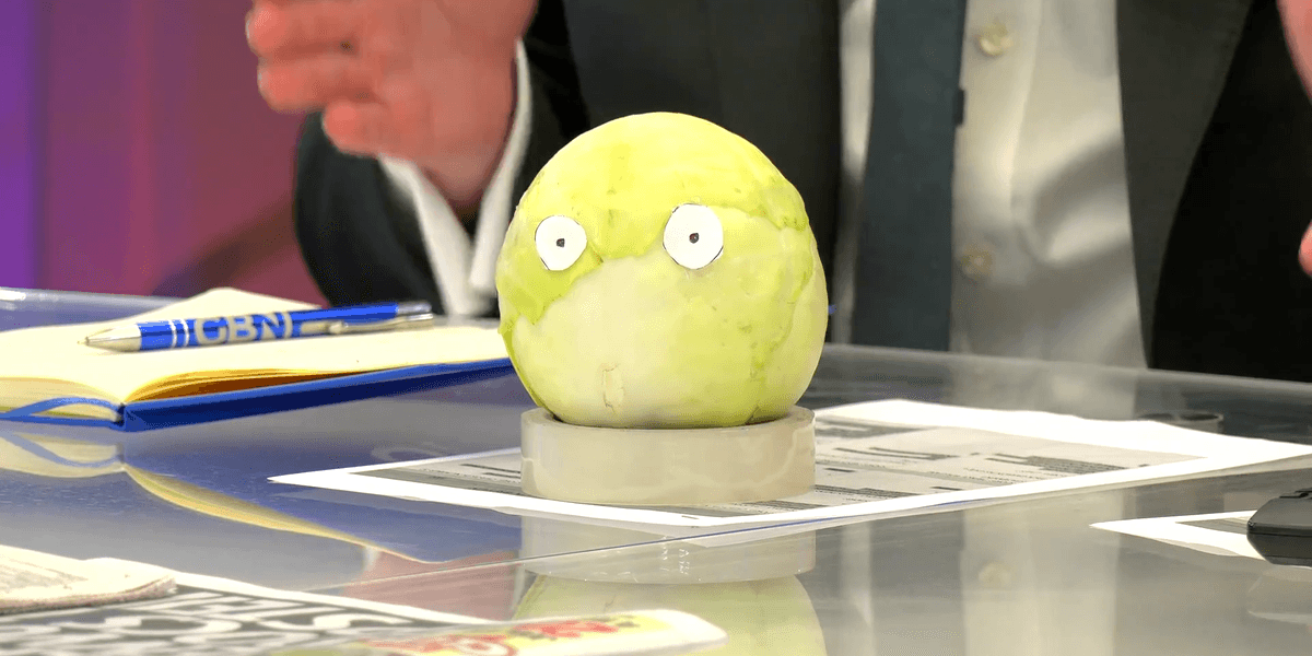 Keir the cabbage: Tom Harwood puts Keir Starmer on the ‘cabbage clock’ – ‘Will he survive the week?’ Keir the cabbage: Tom Harwood puts Keir Starmer on the ‘cabbage clock’ – ‘Will he survive the week?’