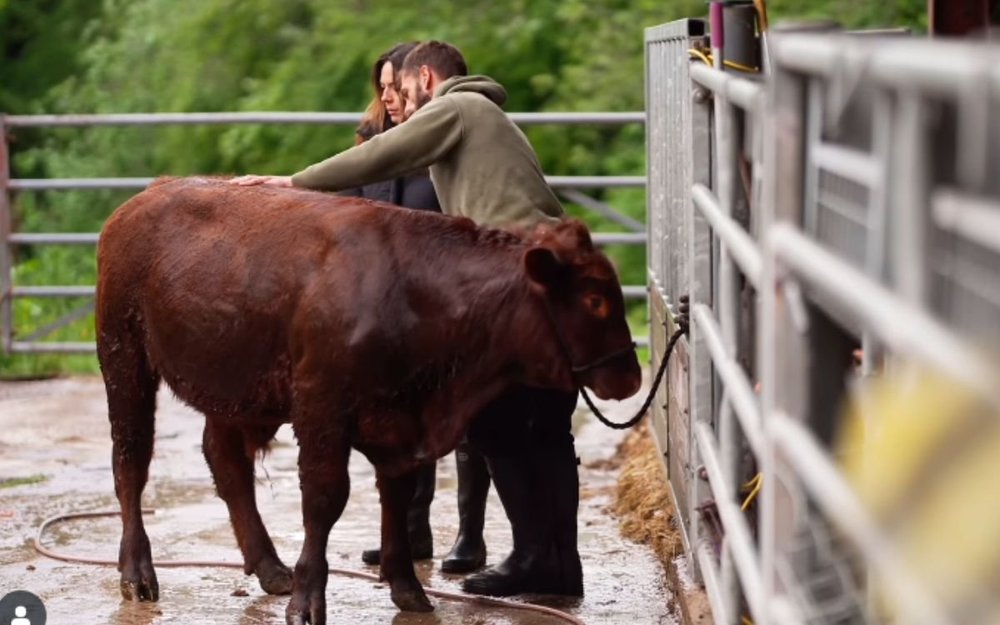 Kelvin and Liz Fletcher
