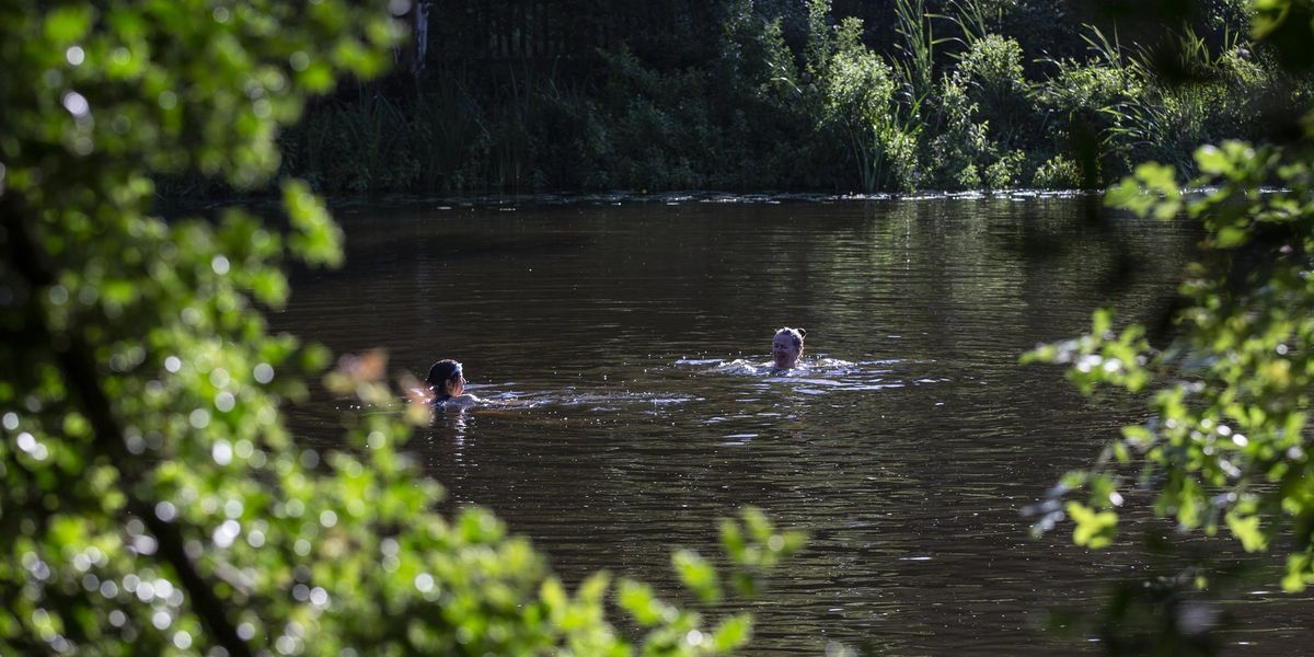 Trans row: Hampstead Heath swimming spot faces major legal battle after letting in transgender women thumbnail