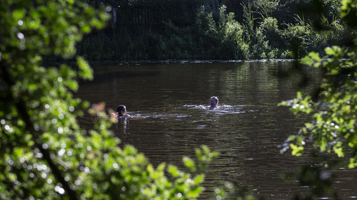 Kenwood Ladies' Pond