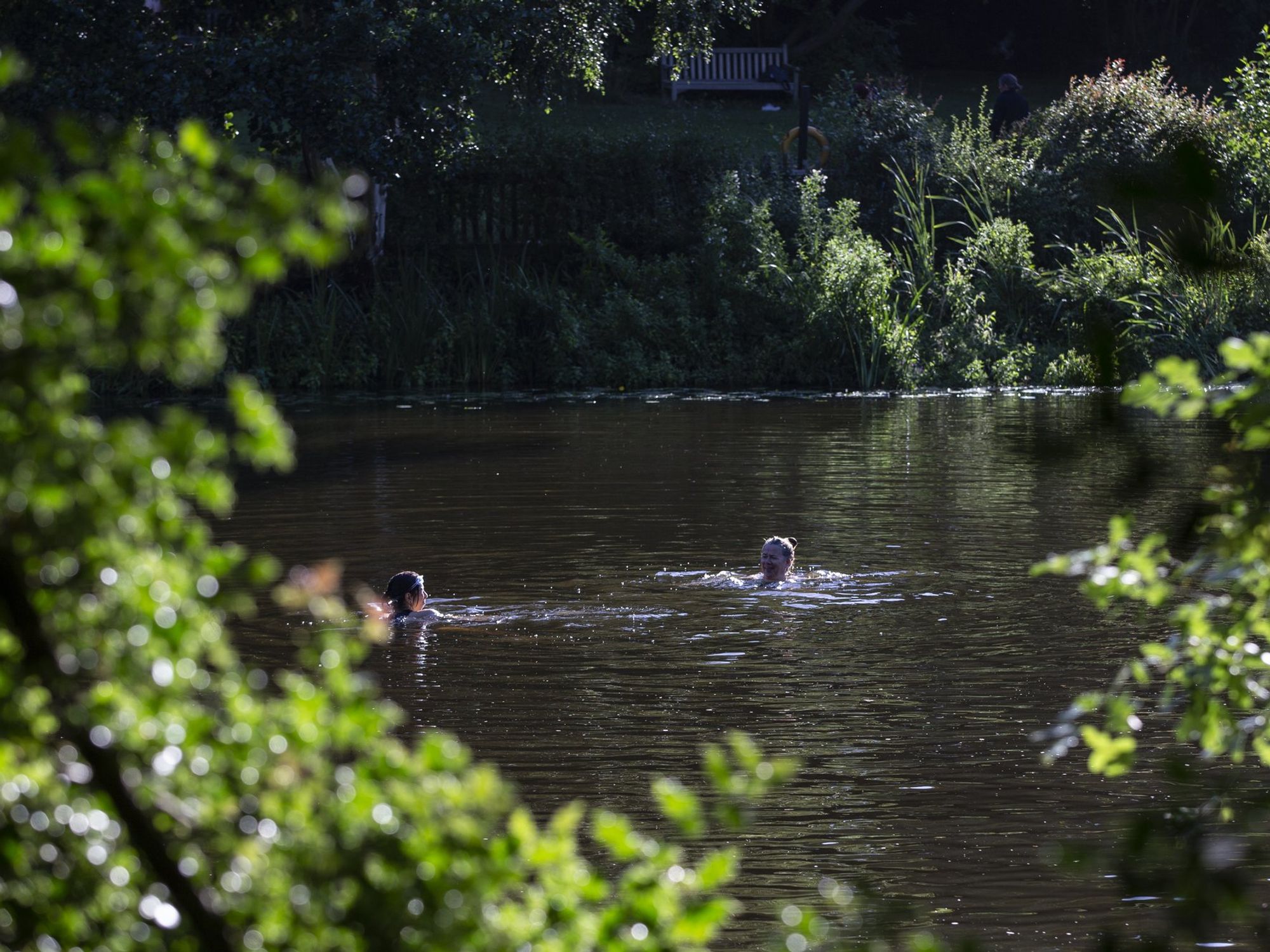 Kenwood Ladies' Pond