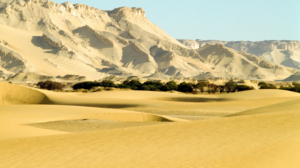 Kharga Oasis