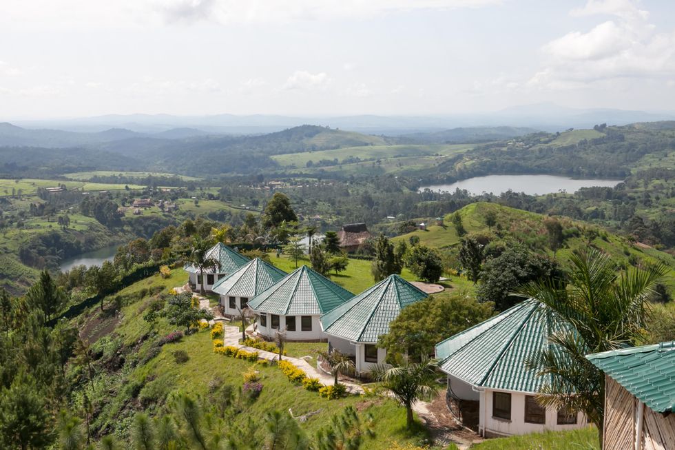 Kibale national park