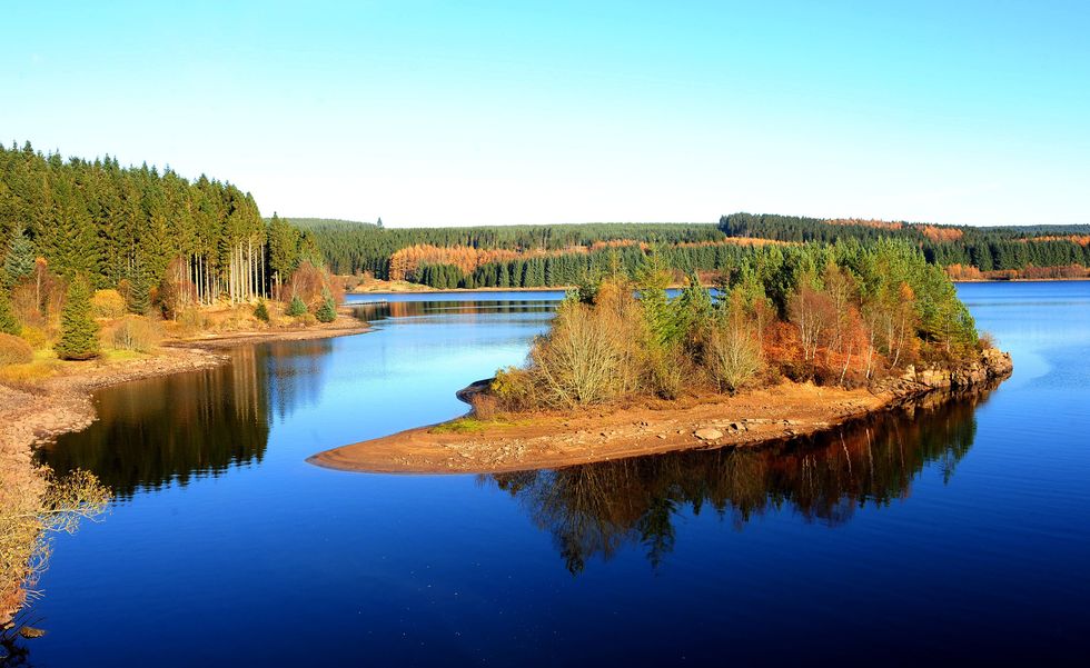Kielder Forest, Northumberland