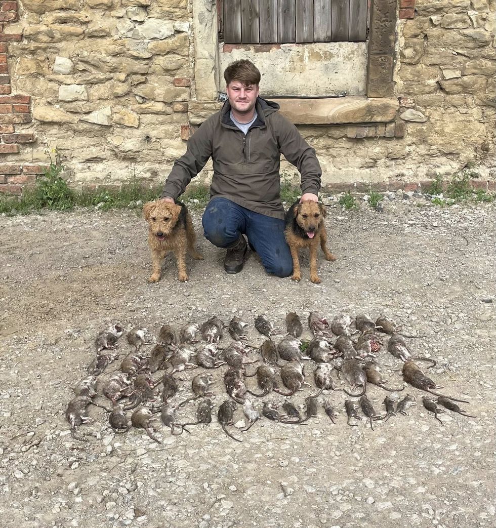 Kieran Sampler with his two dogs