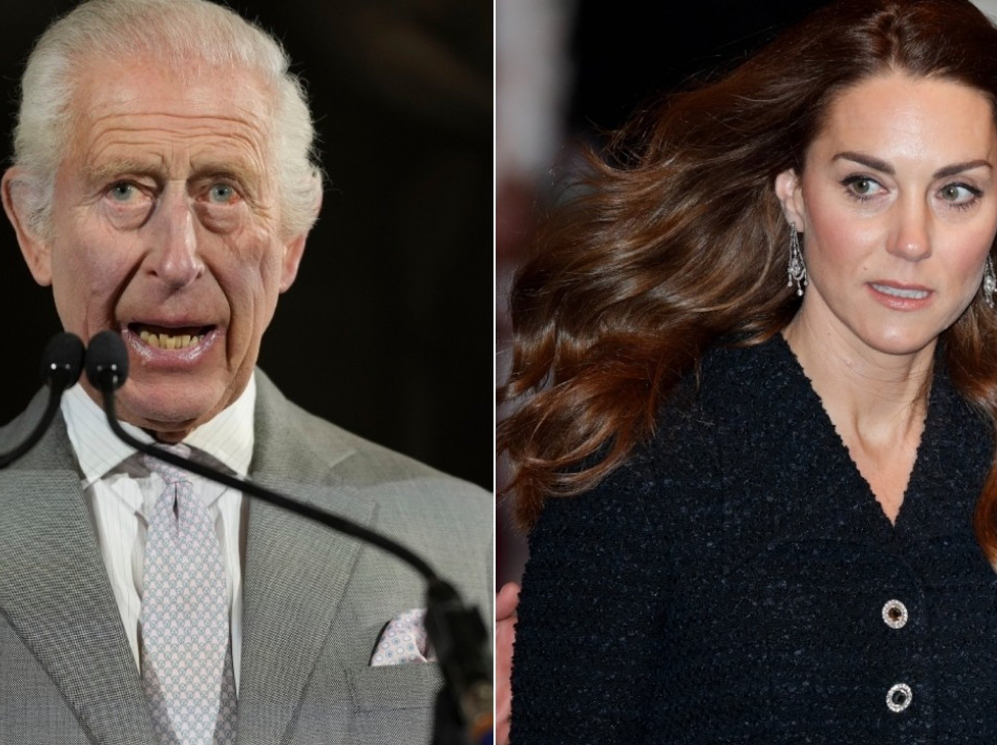 King Charles and Kate Middleton