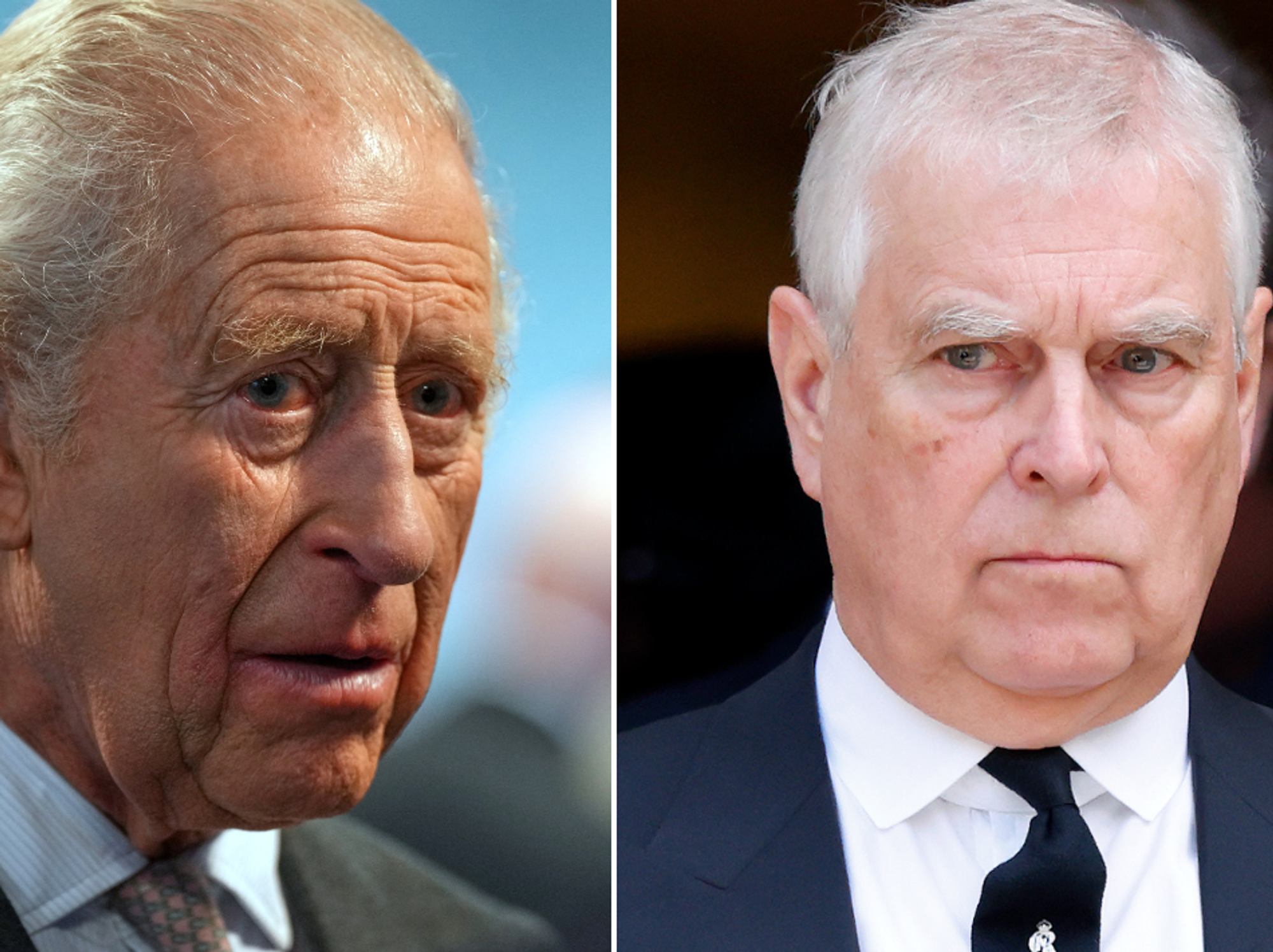 King Charles and Prince Andrew
