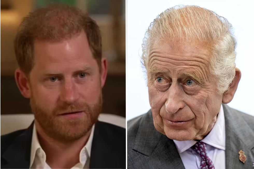 King Charles and Prince Harry