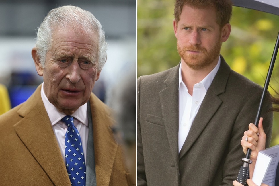 King Charles and Prince Harry