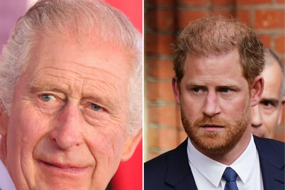 King Charles and Prince Harry