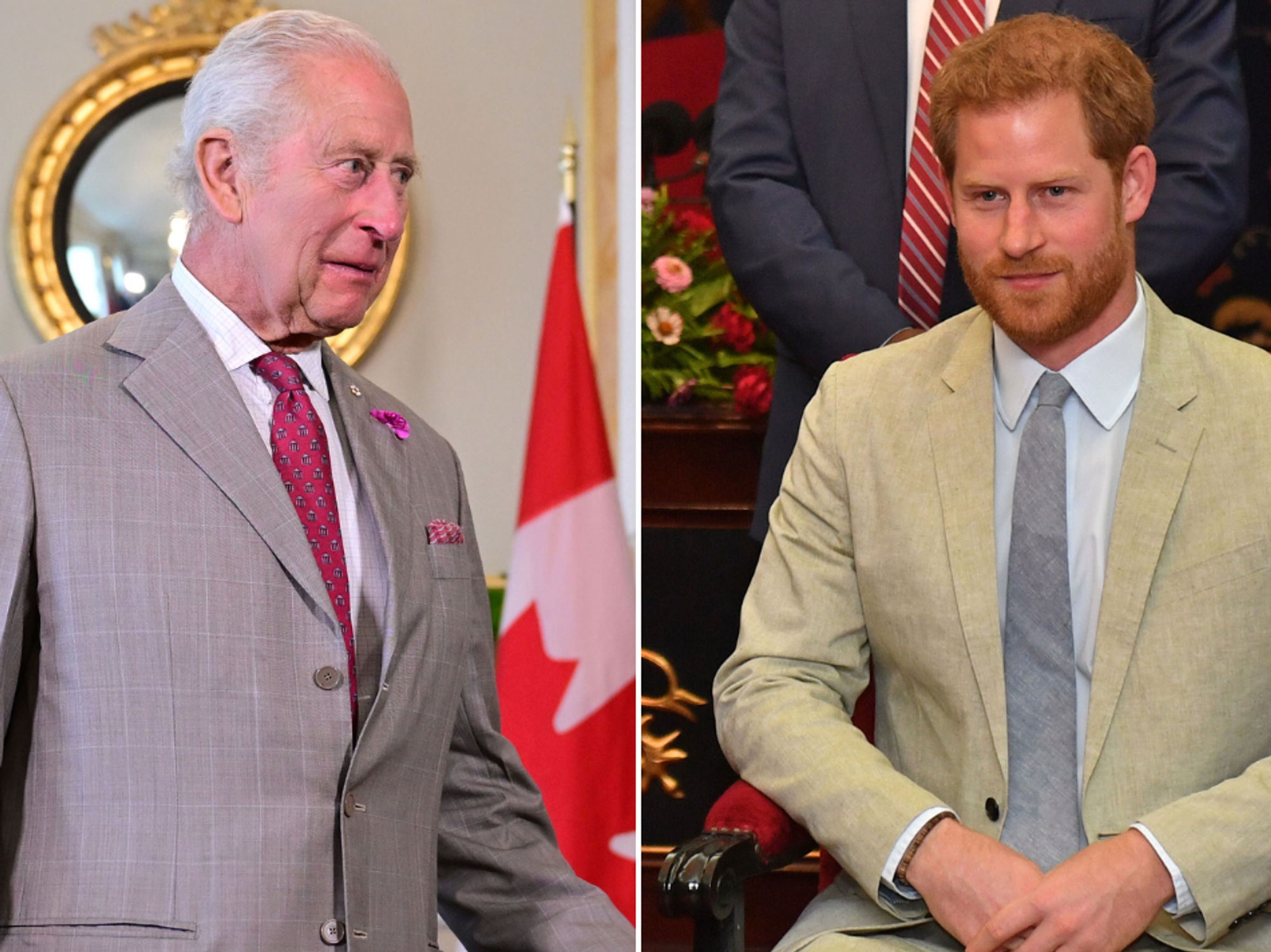 King Charles and Prince Harry