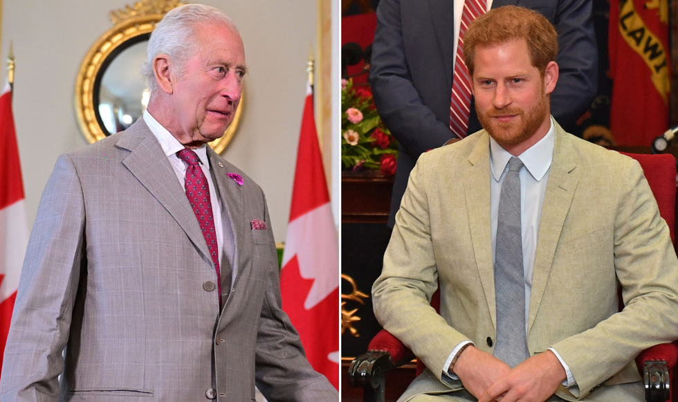 King Charles and Prince Harry