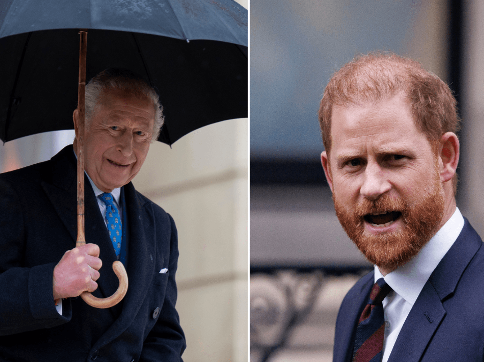 King Charles and Prince Harry