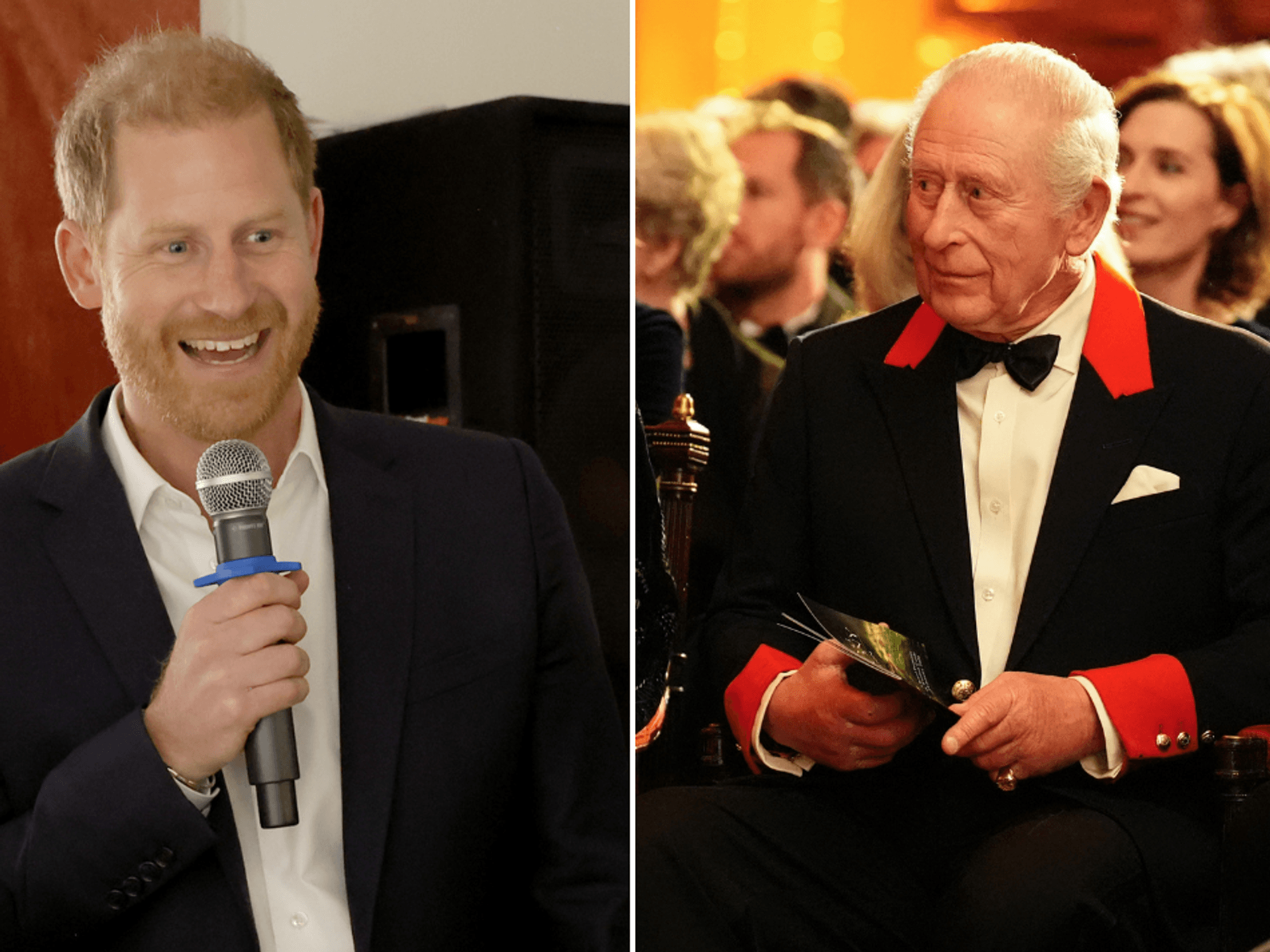 King Charles and Prince Harry