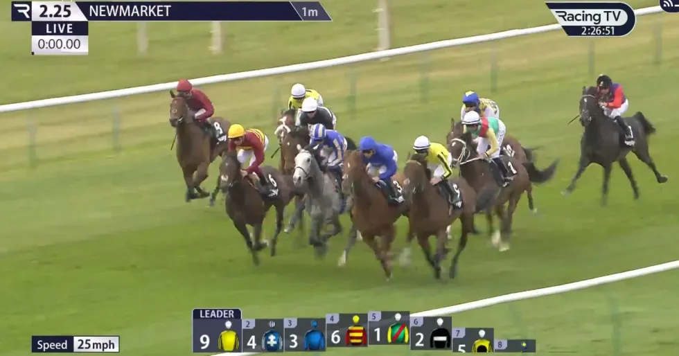 King Charles appears to have discovered the Royal family's next equine star after Portcullis delivered a devastating debut performance at Newmarket's Wood Ditton race