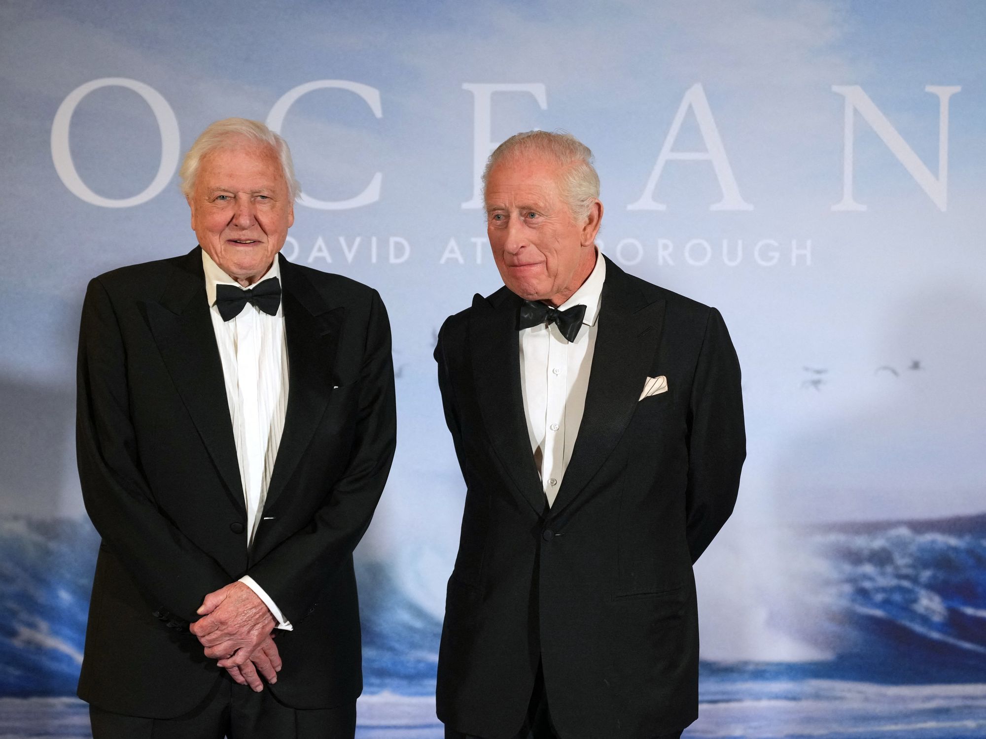 King Charles, David Attenborough