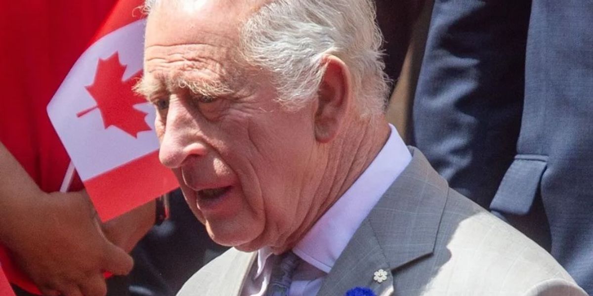 NextImg:WATCH: King Charles is in a 'awkward position' over Trump's state visit