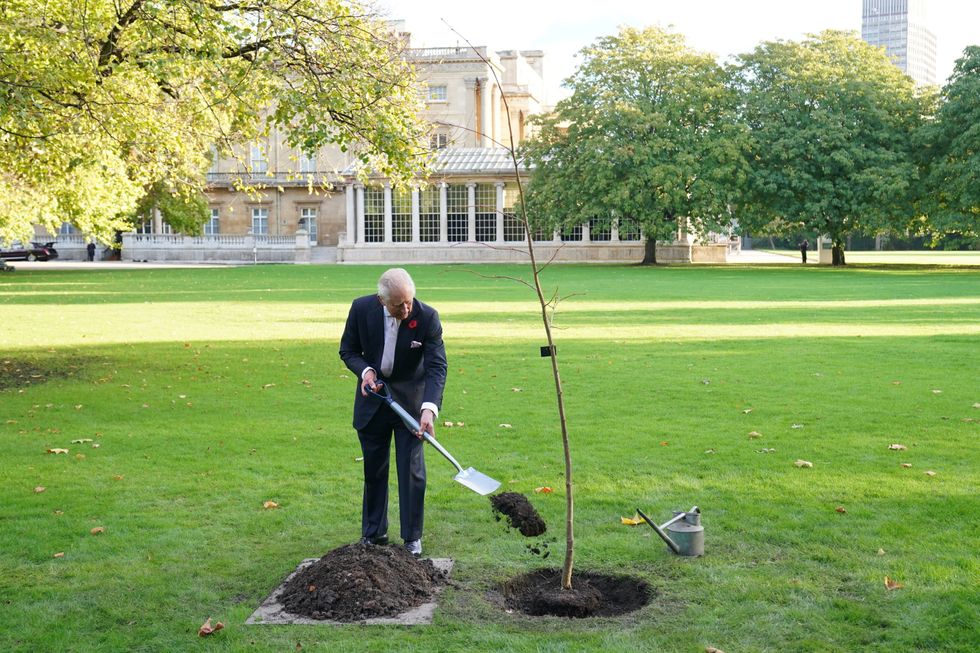 King Charles III planting a lime tree near the Tea House in the Buckingham Palace garden, for the Queen's Green Canopy (QGC), after hosting a reception for world leaders, business figures, environmentalists and NGOs, at Buckingham Palace, London, ahead of the Cop27 Summit. Picture date: Friday November 4, 2022.