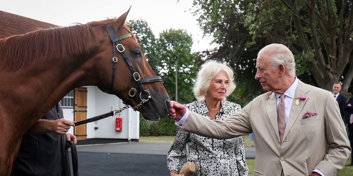 King Charles and Queen Camilla celebrate three horse victories in York and Newbury King Charles and Queen Camilla celebrate three horse victories in York and Newbury