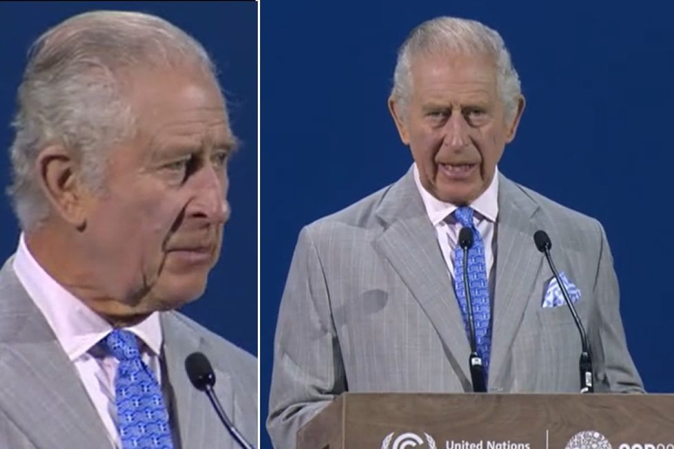 King Charles issues 'call to arms' during Cop28 opening statement
