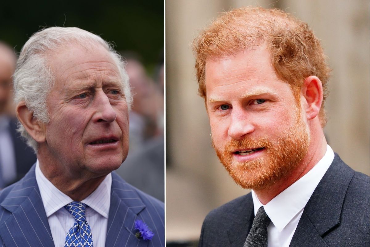 King Charles (left) and Prince Harry (right)
