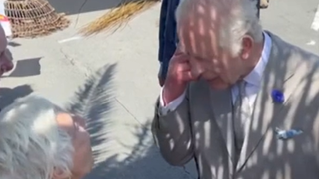 King Charles meeting Caroline Freeman during the state visit