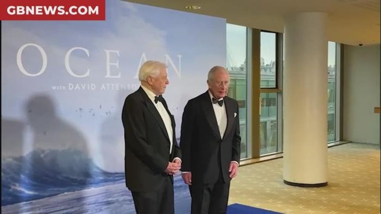 King Charles steps out in London to mark completion of major project after ten years of construction