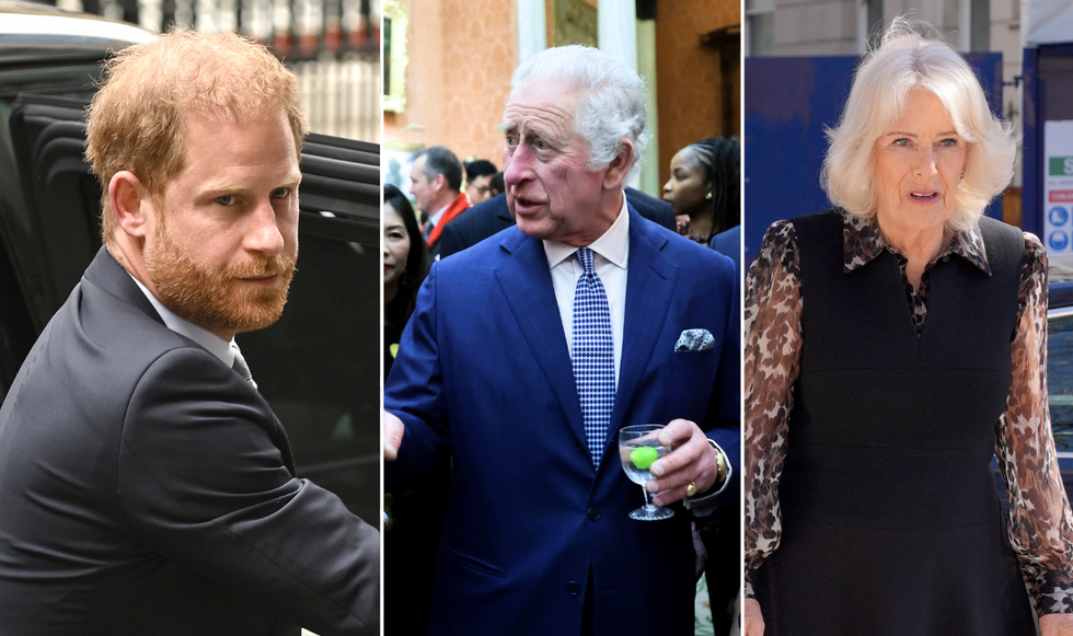 King Charles, Prince Harry and Camilla